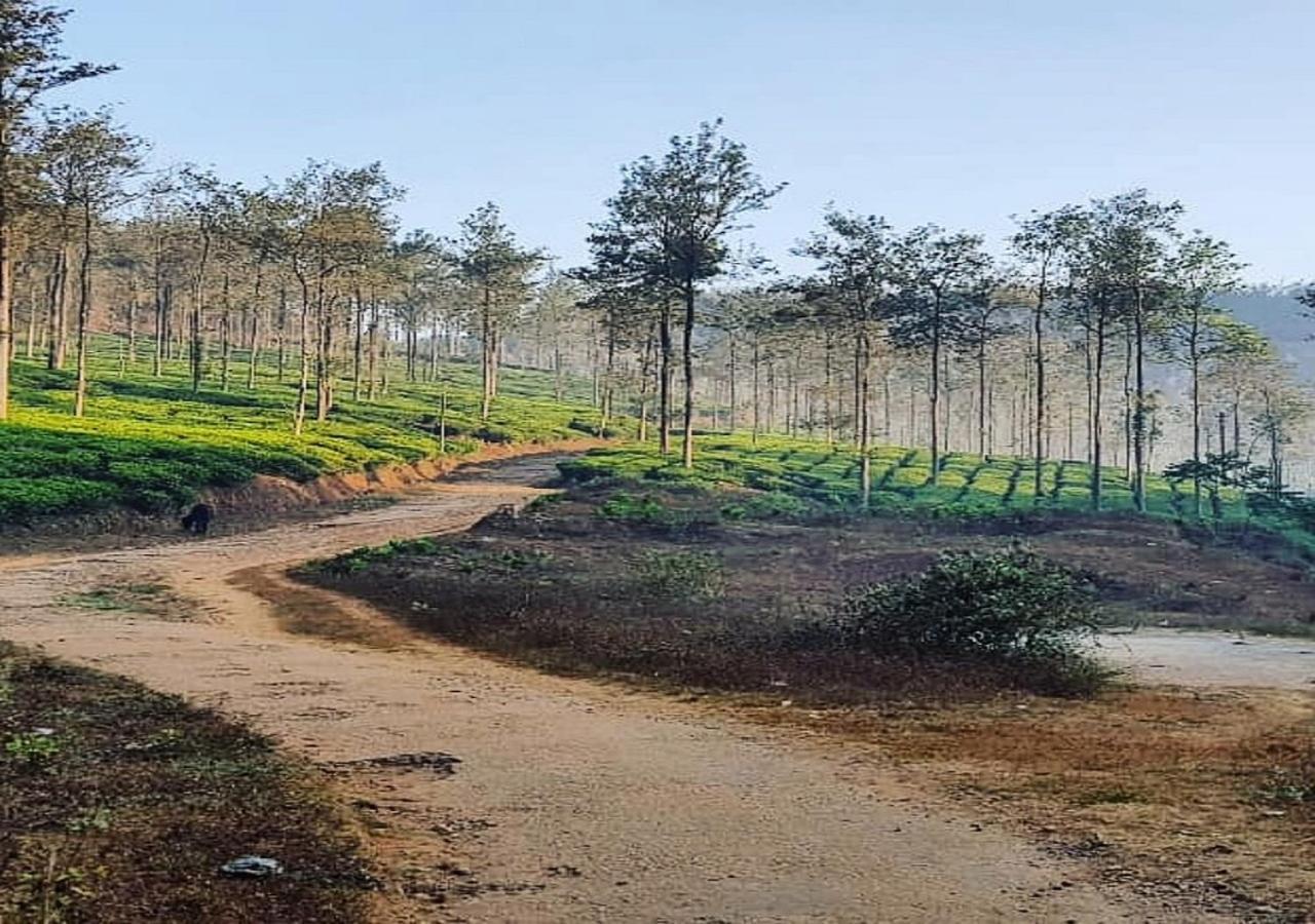 Glad Valley Wayanad By Lexstays-Tea Estate Villa Luaran gambar